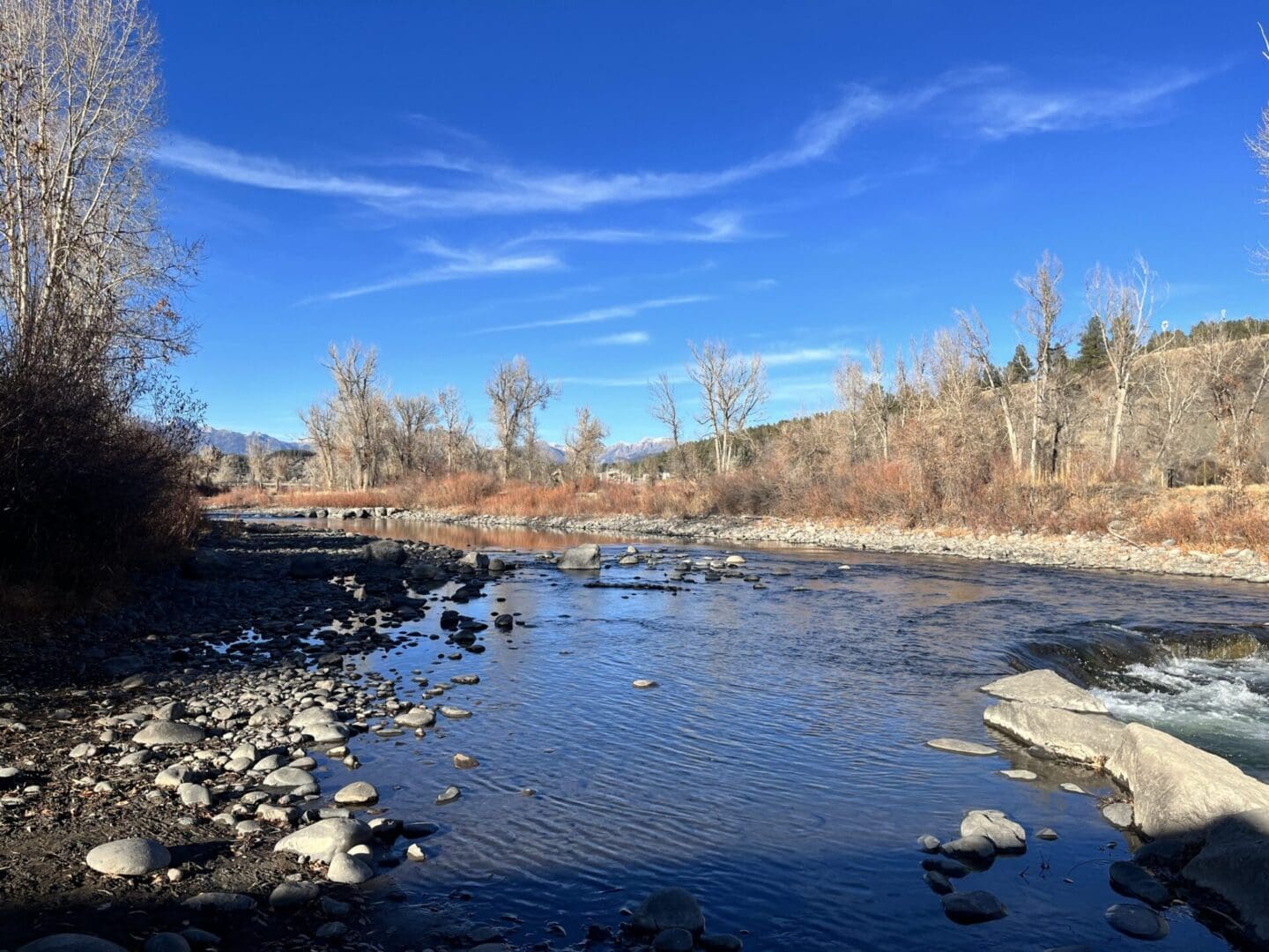 A river with rocks and trees in the background.