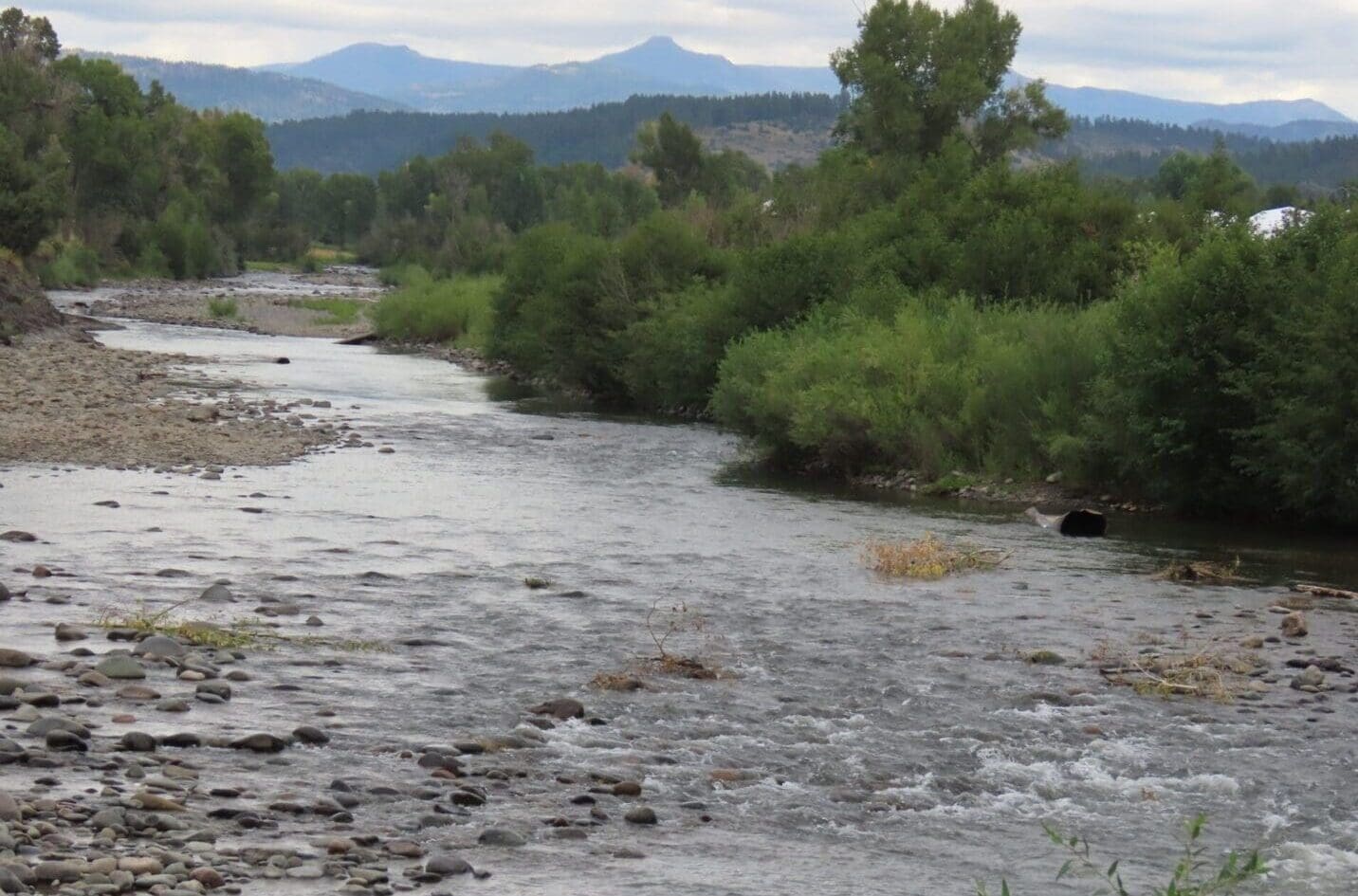 River behind lodging domes